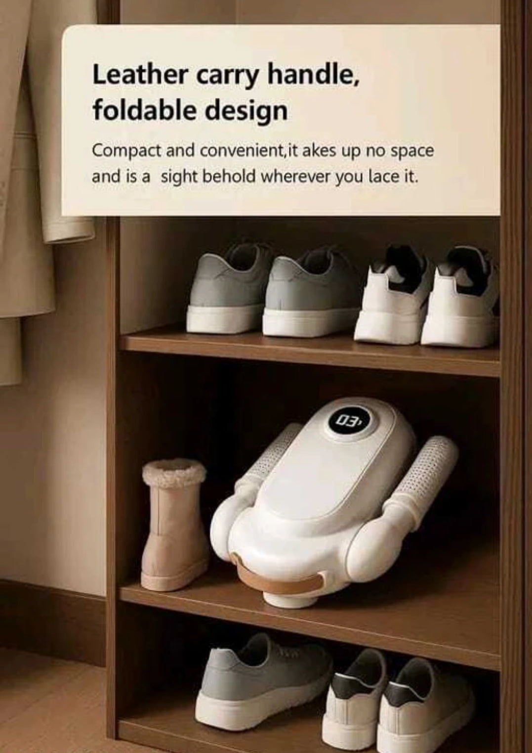 Electric shoe dryer
