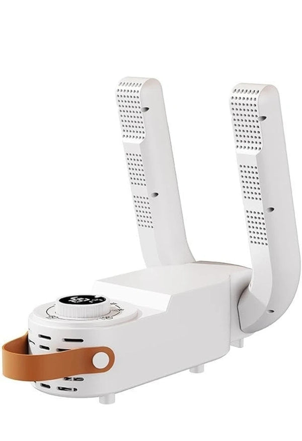 Electric shoe dryer
