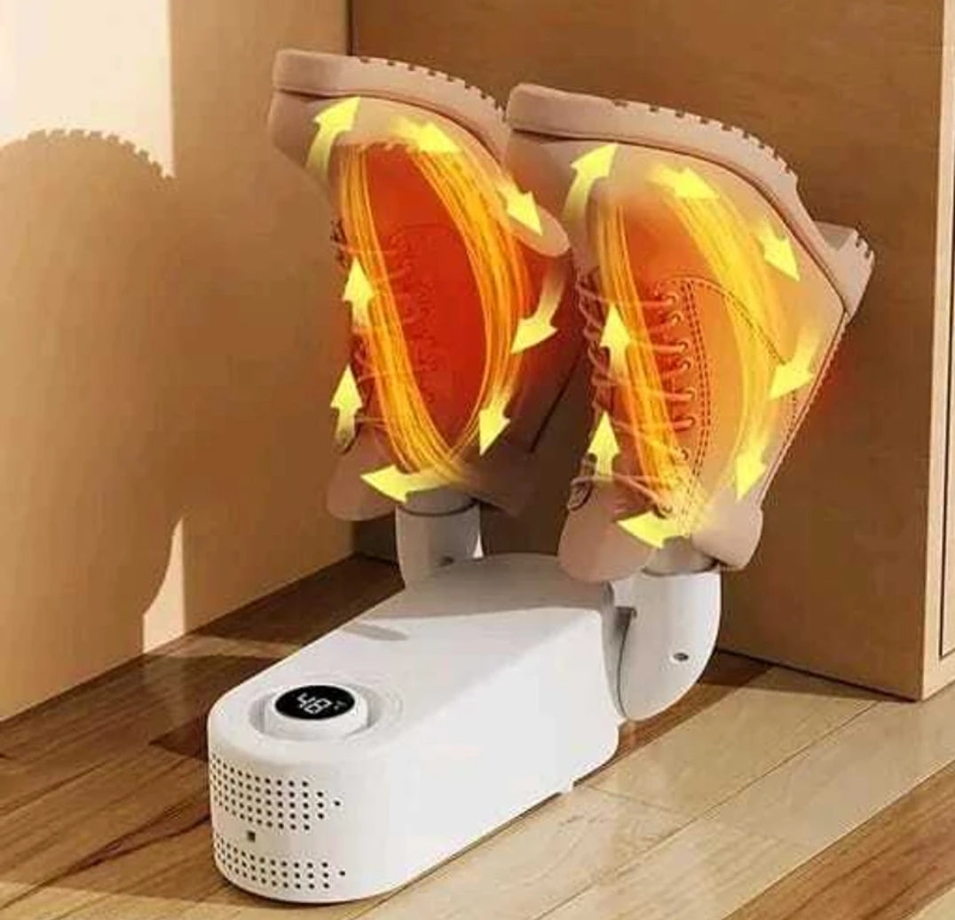 Electric shoe dryer