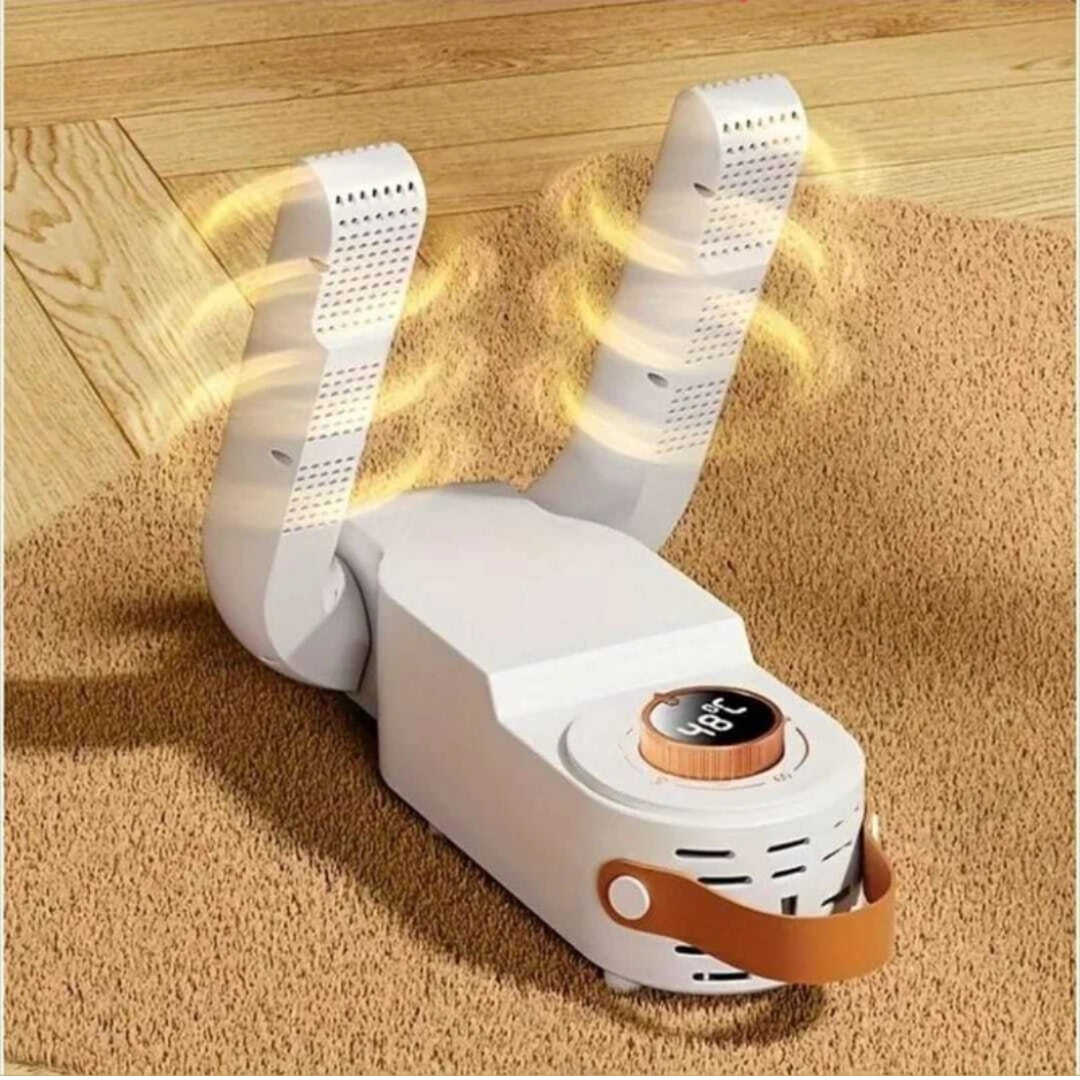 Electric shoe dryer